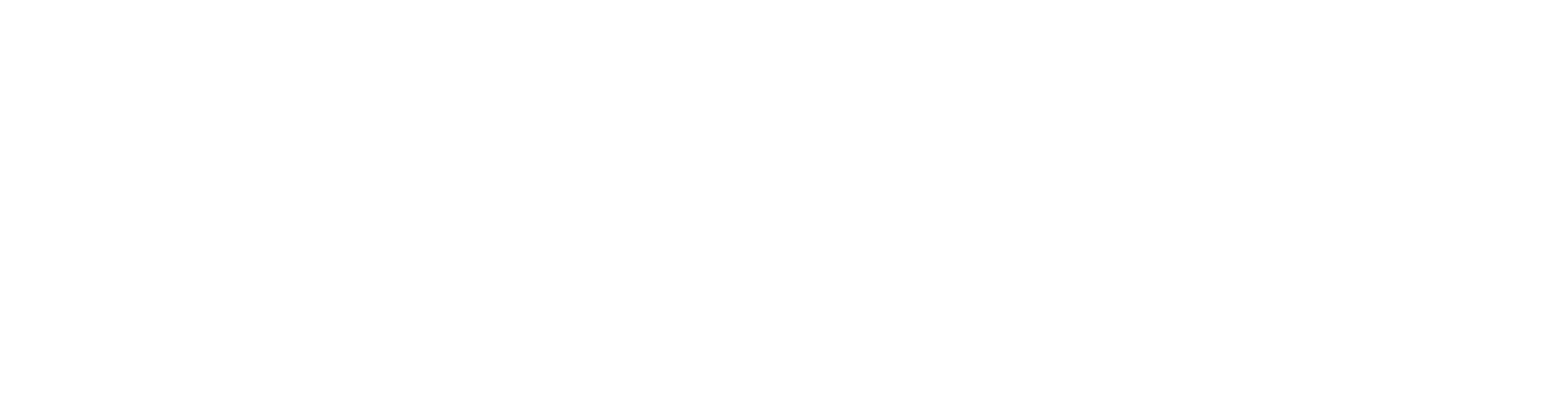 localhub logo